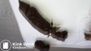 Un bon gros caca bien dodu lui sort du cul