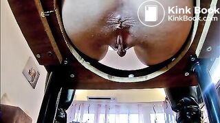 Potty Seat Shit 21