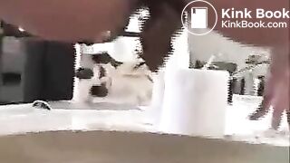 Shit on a plate