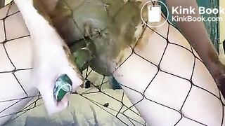 Shitty Cucumber