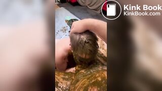 My Sub lick my scat Pic - ThisVidcom