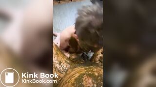 My Sub lick my scat Pic - ThisVidcom