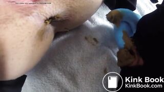 productrice au consommateur