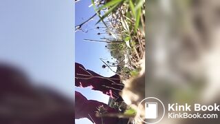 parmi les fleurs
