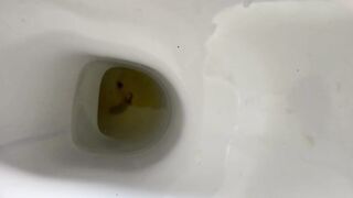 IMG_0748