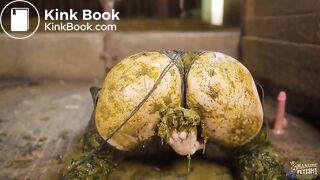 Brooke Maddison Dung Erotica - first time in cowshit