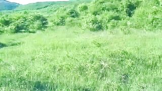 d7eea3af21ac0decd5ac5d44769a4b25