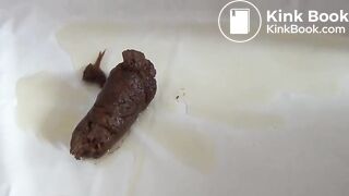 You Can Only Shit On It