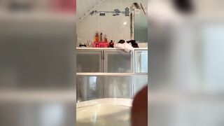 kinkycat_15_mins_of_fun_with_kinkycat