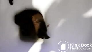 grosseur et quantité
