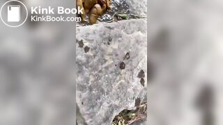 shit in the woods