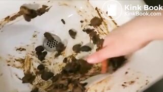 The brown side of life 1321