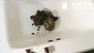 The brown side of life 1321