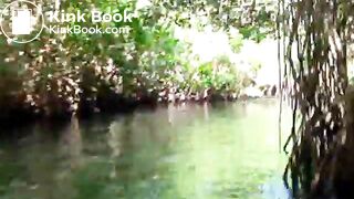 If you like nature this is for you