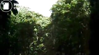 If you like nature this is for you