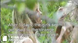 If you like nature this is for you