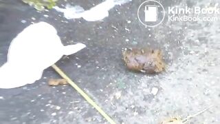 Big one in the street