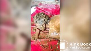 Scatsklavin Angelina 2