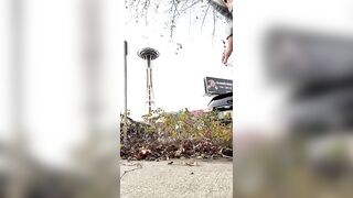 pipi caca en ville