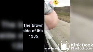 The brown side of life 1305
