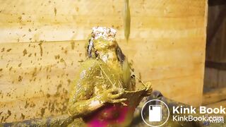 Rada Brewer Filling my swimsuit with cowshit