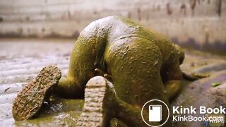 Diving in the Manure Pit