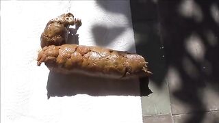 caca qui pousse