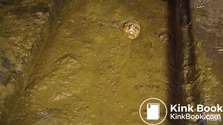 Brooke Maddison Morning Cowshed Routine in Cowshit