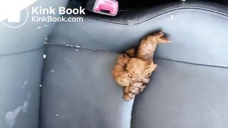 Emergency shit in car