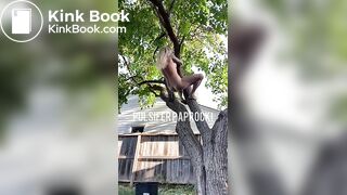 shit out of a tree