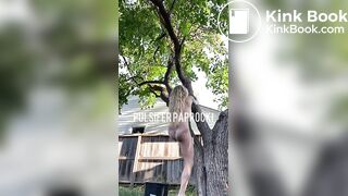 shit out of a tree