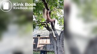 shit out of a tree