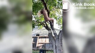 shit out of a tree