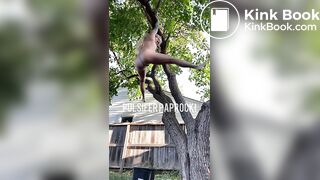 shit out of a tree