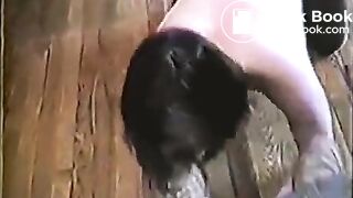 Jamie Gillis and his scat slave