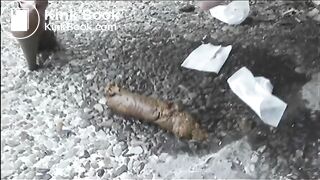 All scat sex