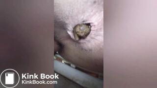 Hot boys and girls scat