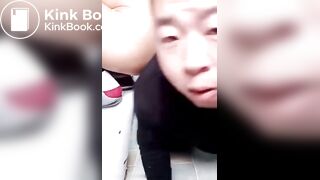 feeding the fat chinese pig