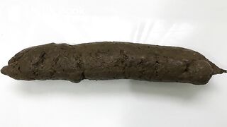 Most Beautiful Straightest Shit Ever