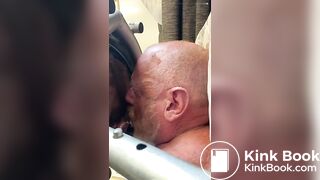 grampa is a pig