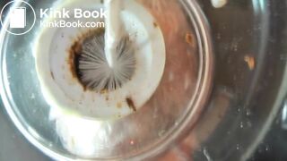 Femdom toilet chair FT1