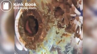 Femdom toilet chair FT2