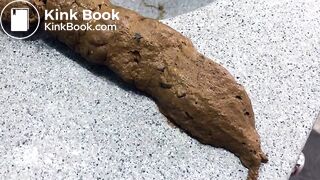 Black Bean Burrito Shit