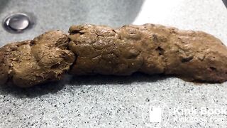 Black Bean Burrito Shit