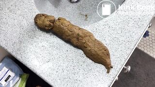 Black Bean Burrito Shit