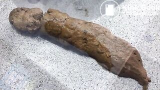 Black Bean Burrito Shit