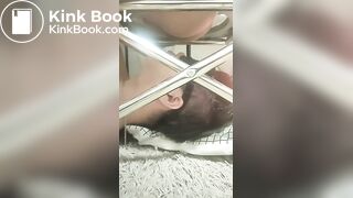 obedient toilet slave