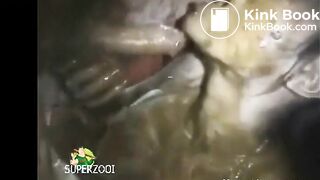 Honey Bee Eats Shit Covered Cock, Ass & Feet