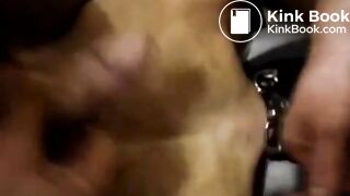 fag toilet for 3 masters