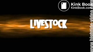 Praying Mantis 25 - Livestock